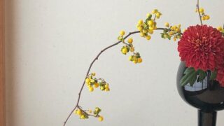 【実のある枝を生ける】秋の垂れ下がるツルウメモドキの生け花